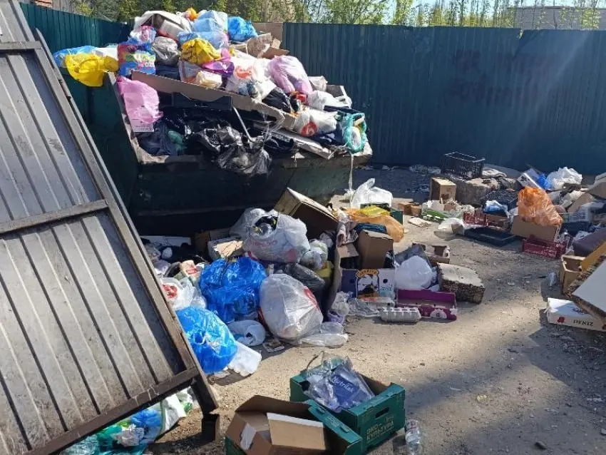 На улице Хользунова выросла крупная несанкционированная свалка: мусор вышел за пределы контейнерной площадки и распространяет неприятный запах вблизи школы №80 и военкомата.