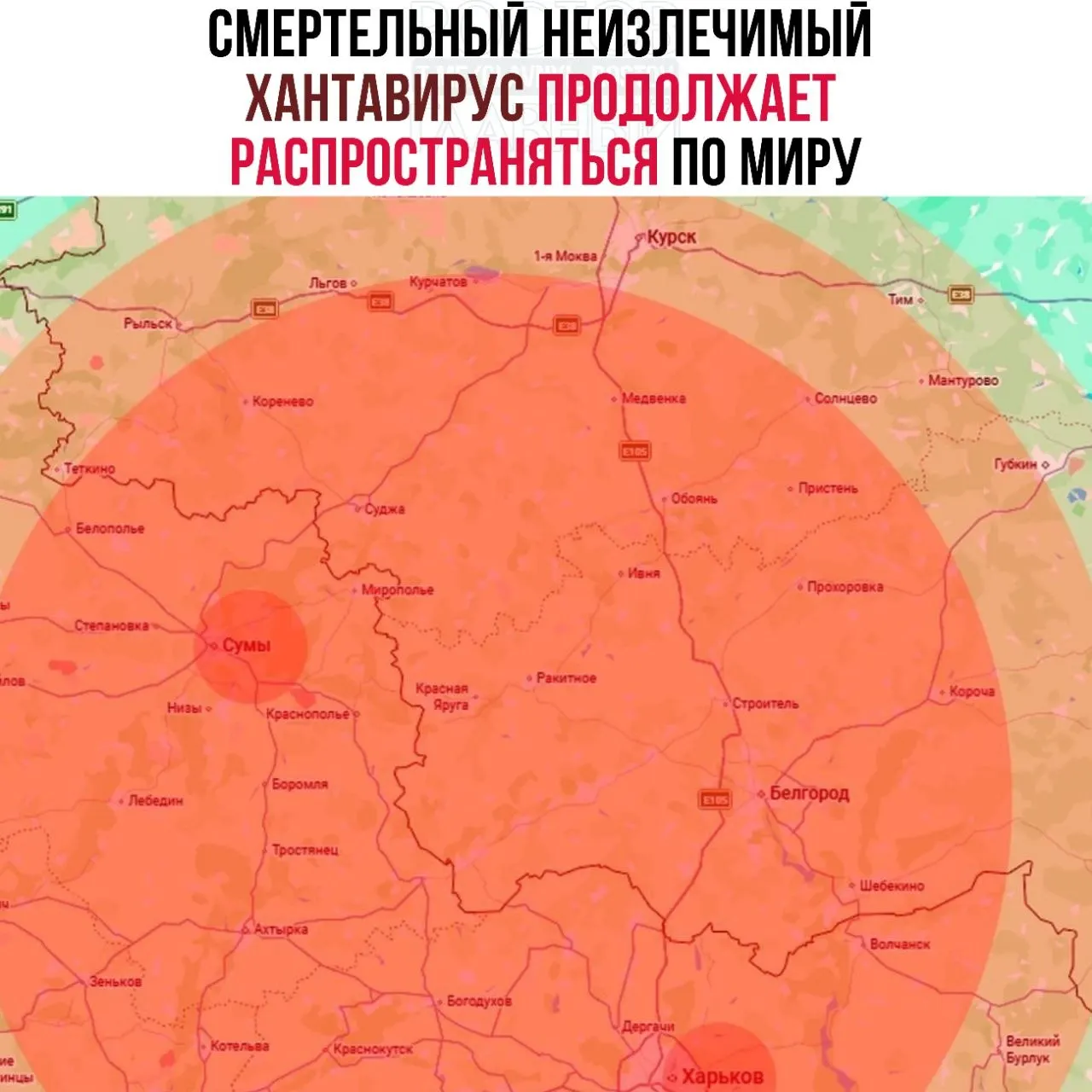 Сообщают о случаях заражения хантавирусом в Харьковской, Сумской и Львовской областях; жители соседних регионов, в том числе Воронежской области, могут оказаться в зоне риска.
