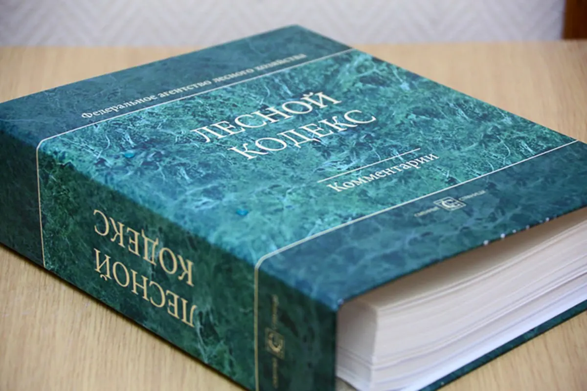 С 2006 года в Лесной кодекс внесено 79 наборов поправок; эксперт по лесному хозяйству считает, что документ устарел и требует замены и значительного упрощения.