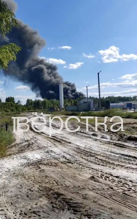 В одном из свинокомплексов Воронежской области зафиксирована вспышка африканской чумы свиней. Животных массово уничтожают на месте, при этом официального оповещения и карантина не было, а местных просят не распространять информацию.
