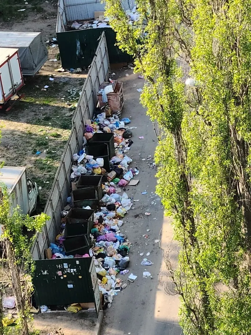 АО «Экотехнологии» с 2019 года — единственный оператор вывоза ТКО в половине Воронежской области. Жалобы жителей и проверки чиновников сменяются судебными исками, а смена оператора остаётся маловероятной.