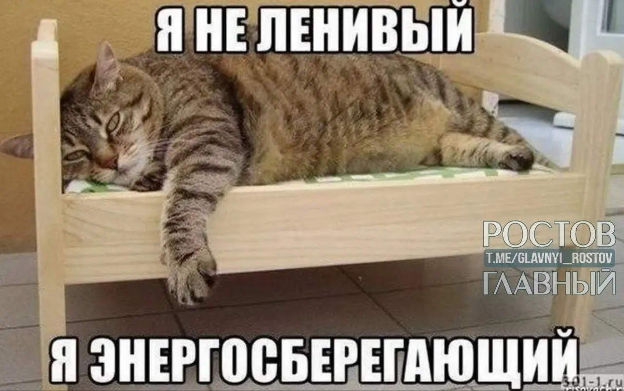 В опросе выяснили, что в Нижнем Новгороде, Перми и Воронеже больше всего хотят сократить рабочий день до шести часов; в Санкт-Петербурге чаще мечтают вообще не работать, а на юге (Краснодар и Ростов‑на‑Дону) больше трудоголиков.