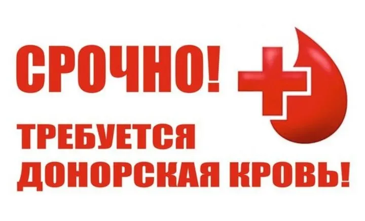 Воронежский областной центр крови объявил срочный сбор доноров, затем сообщил о пополнении запасов. Минздрав открыл горячую линию для родственников пострадавших; число пострадавших уточняется.