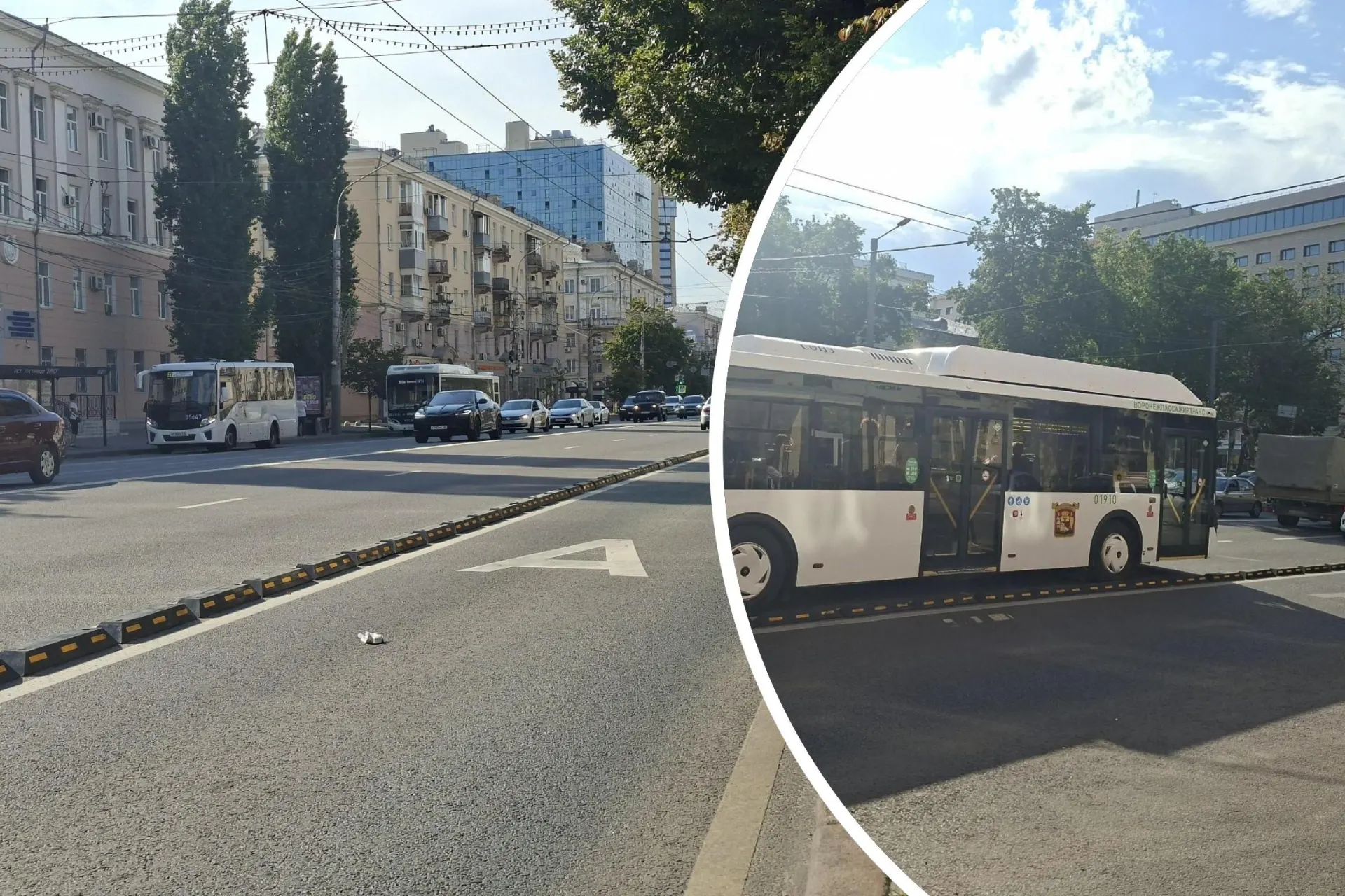 Резиновые делинаторы высотой около 10 см появились в центре города — при проверке выяснилось, что автобусы и легковые машины без существенных препятствий переезжают через них и меняют полосы.