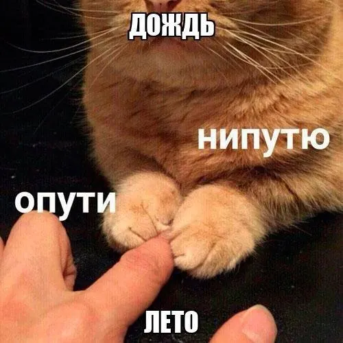Сегодня и завтра — до +25°C, к середине недели потеплеет до +28…+30°C. Почти ежедневно прогнозируют кратковременные дожди с грозами; возможны радуги и яркие закаты.