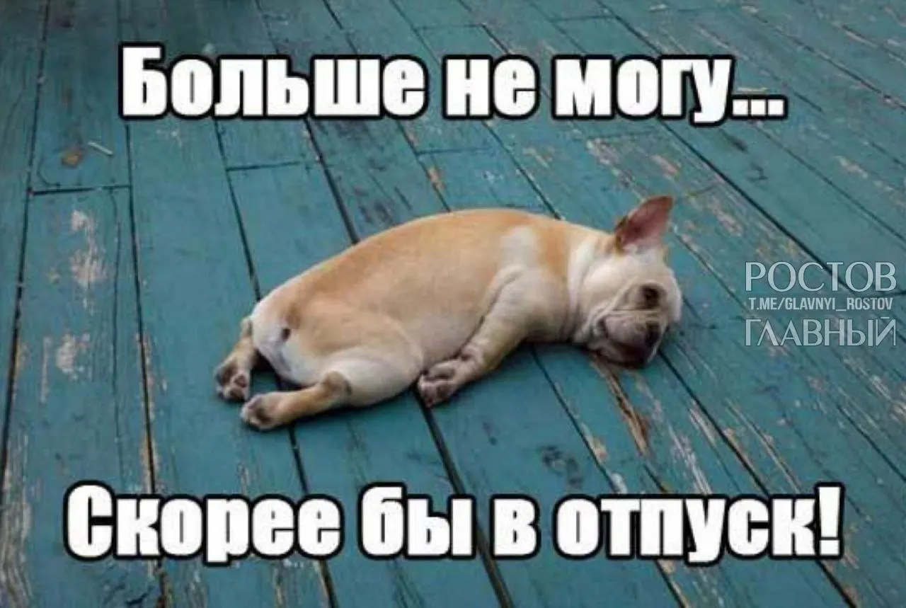 В Госдуме предложили повысить минимальный ежегодный отпуск с 28 до 35 дней, чтобы компенсировать выходные, включаемые в отпуск, и помочь людям лучше отдыхать и избежать выгорания.