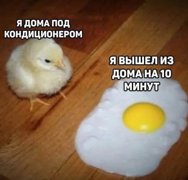 Сегодня днем до +30°C, ночью около +16°C. Завтра возможна гроза и кратковременный дождь, до +27°C. В выходные температура не поднимется выше +24°C, прогнозируют сильный ветер с порывами до 16 м/с.