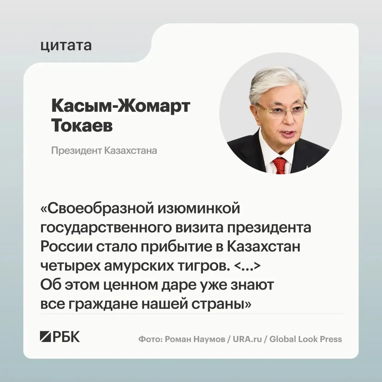 Президентам России и Казахстана показали презентацию о тиграх, которые были переданы Астане после запроса Казахстана о помощи в восстановлении популяции вида.