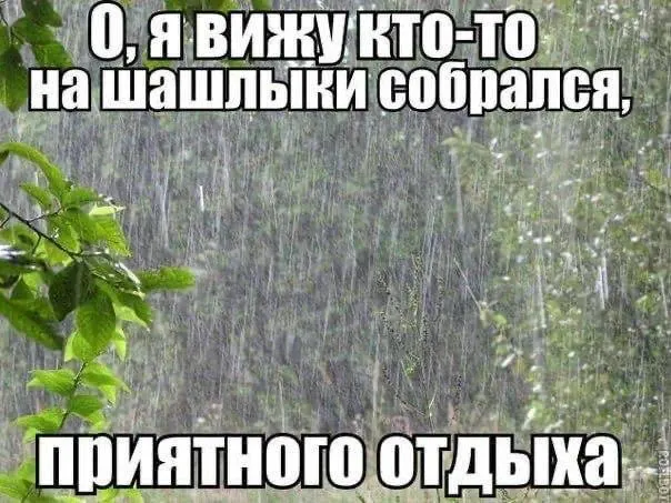 Синоптики прогнозируют кратковременные дожди: в Воронеже до +18°C днем и до +4°C ночью, в области — около +15°C днем и до +1°C ночью (с 30 на 31 мая).