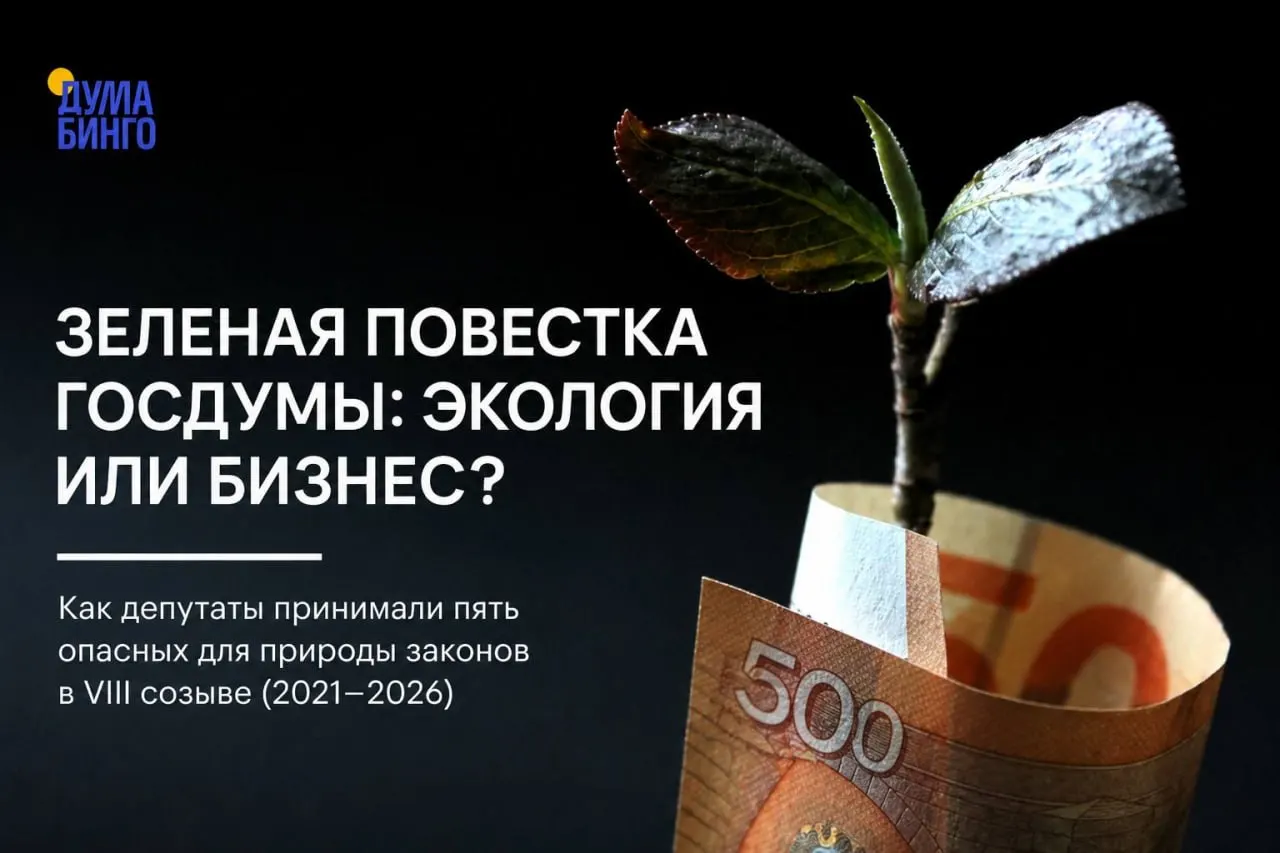 За несколько лет в Госдуме прошёл ряд инициатив, которые сокращают независимый общественный контроль, ослабляют режим охраны особо охраняемых территорий и упрощают правила добычи редких видов.