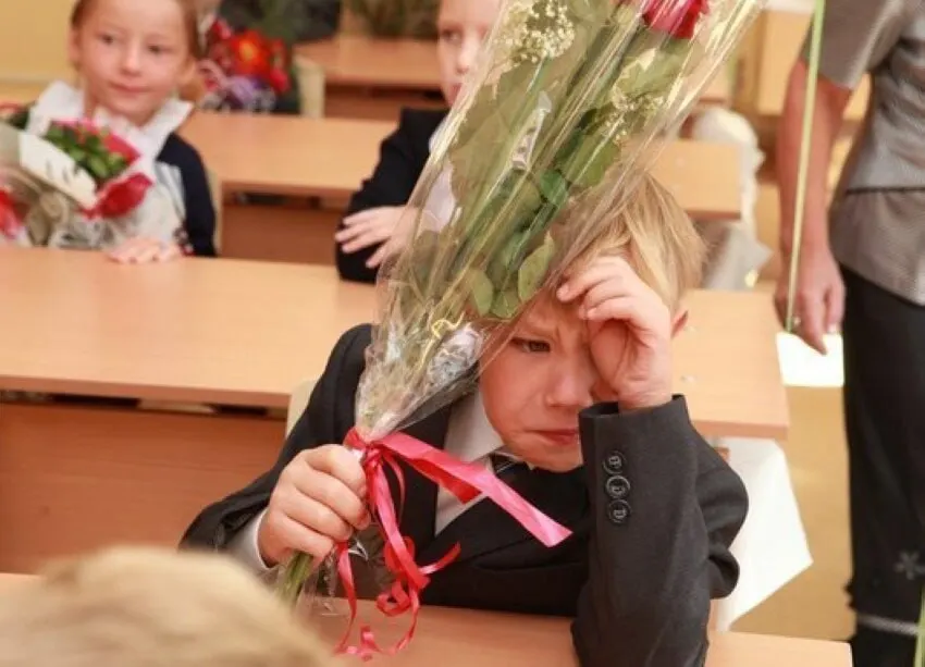 Заместитель министра просвещения подтвердил, что 11-летняя система образования признана оптимальной, и никакой пересмотр длительности школьного обучения сейчас не планируется.