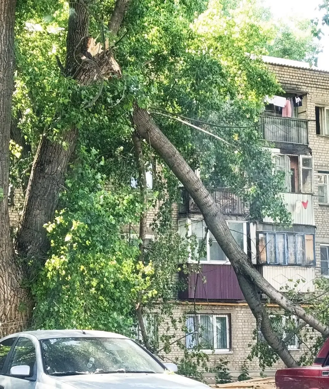 Крупный обломок ствола нависает над тротуаром и припаркованными машинами более двух недель; службы ограничились сигнальной лентой, люди опасаются, что ветка может рухнуть в любой момент.