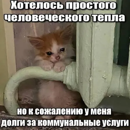 Верховный суд подтвердил, что срок исковой давности в три года препятствует включению в квитанции задолженностей за капитальный ремонт старше этого периода, что защищает новых собственников и наследников от принудительного взыскания.