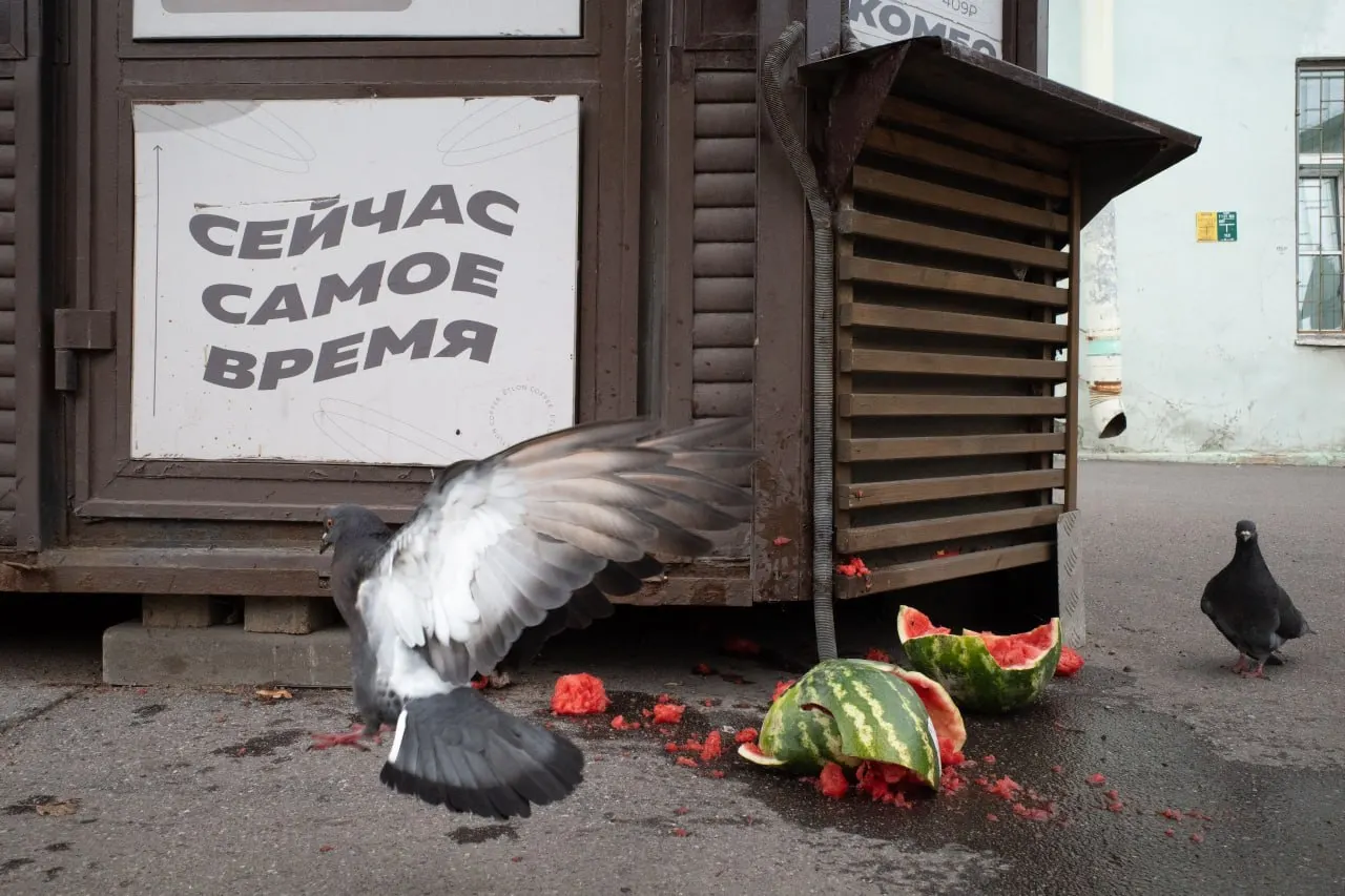 Сводка ключевых событий в Петербурге и Ленобласти, в России и за рубежом: штрафы за антивоенные высказывания, выборы, религиозные обряды и кадровые перестановки в Минобороны.