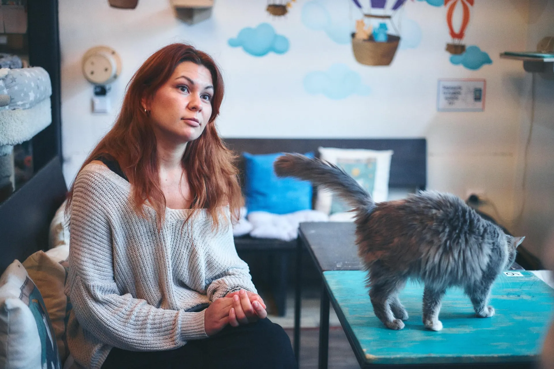 История о том, как устроена работа управляющей котокафе, и какие вопросы волнуют гостей, мечтающих завести кота.
