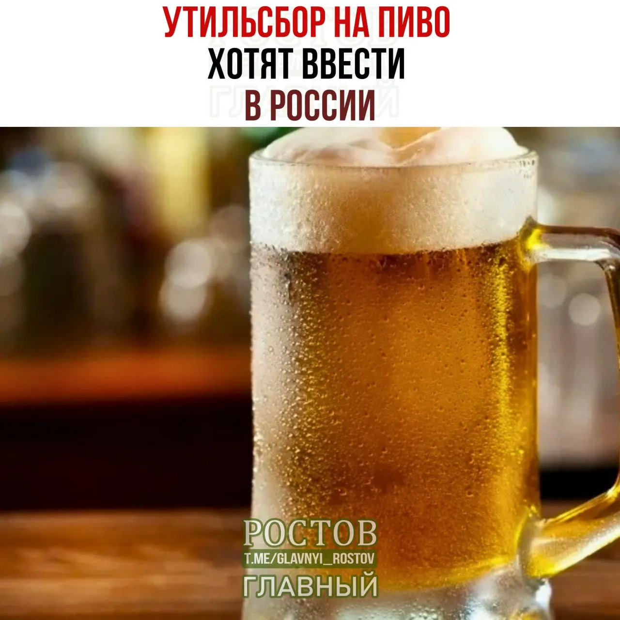 Минфин предложил ввести утильсбор на пиво из недружеских стран, включая Германию, Чехию, Польшу и Литву. За каждый литр европейского пива планируют взимать €5.