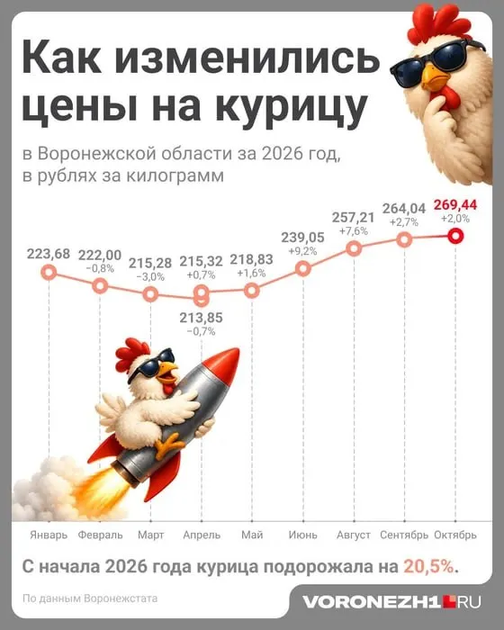 За год в регионе цены на курицу и яйца выросли: окорочка примерно по 200 руб за кг, филе — около 600 руб за кг, яйца — 90–155 руб за десяток.